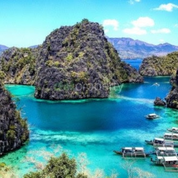 Meet your Posher, Anton - Picture 1 of 1